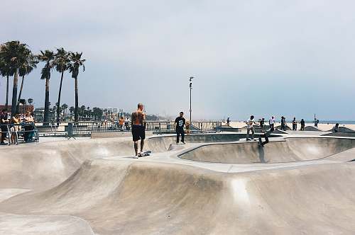 flora people playing skateboard on park during daytrime palm tree