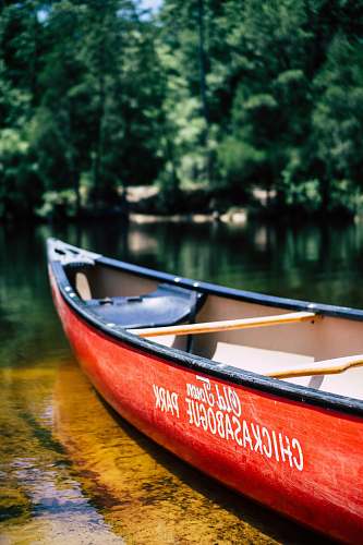 canoe canoe boat on body of water near trees rowboat