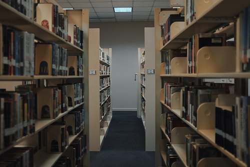 library brown wooden book shelves inside library bookcase