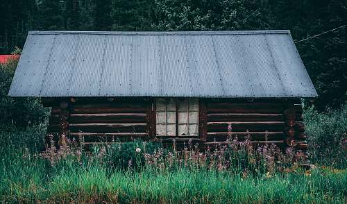 housing brown and gray shed house