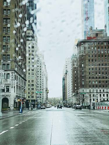 road people walking on street near high rise buildings during daytime city