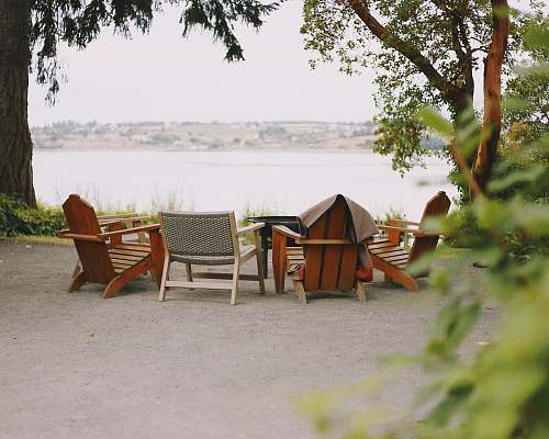 furniture empty brown chairs wood