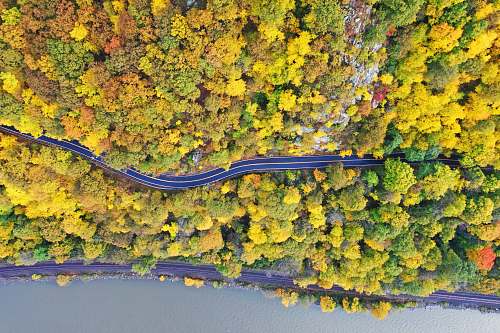 ny-218 aerial photo of tree lot ny 12520