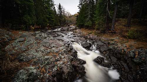 outdoors stream between trees during daytime stream