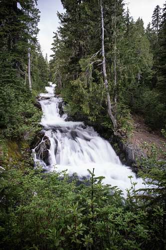 outdoors time lapse photography of river between trees stream