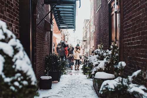 plant girl standing in between buildings surrounded by plants covered with snow snow