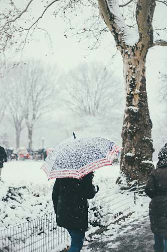 umbrella person walking while holding umbrella during snowy weather snow