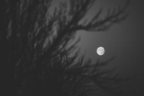 black-and-white white moon moon