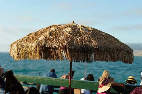 person nipa umbrella people