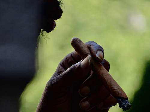 person person holding tobacco finger