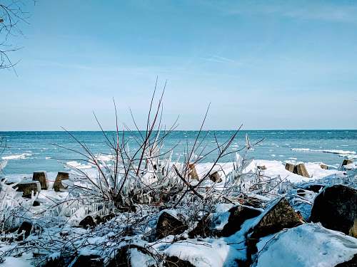 outdoors snow covered woods under blue sky coast