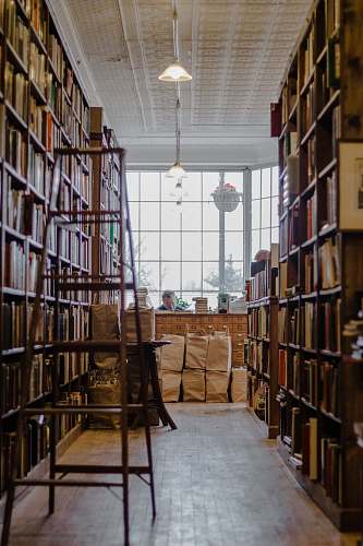 indoors man sitting inside librabry interior design