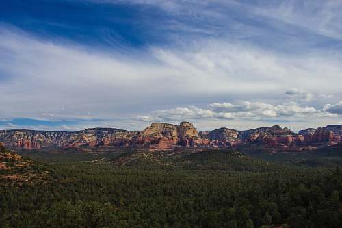 nature landscape photography of trees and mountains outdoors