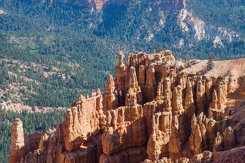nature photo of rocky mountain near pine trees canyon