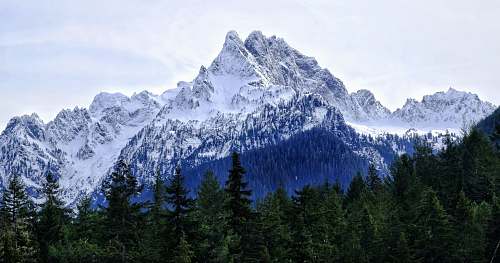 nature trees under snow capped mountain outdoors