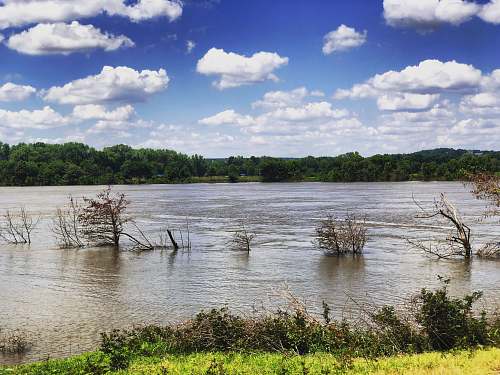 outdoors brown bushes submerged in flood water under white and blue cloudy sky weather