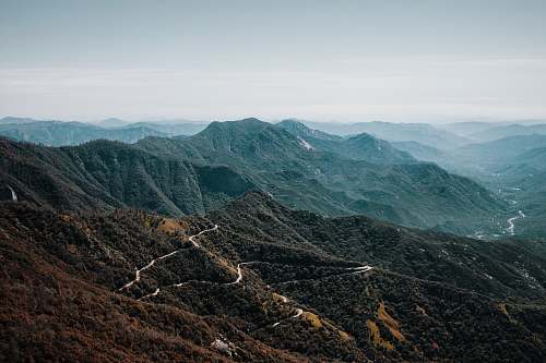 mountain brown forest on mountain crest