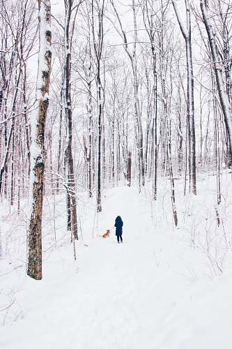 outdoors person standing on snow field beside dog surrounded by trees grey