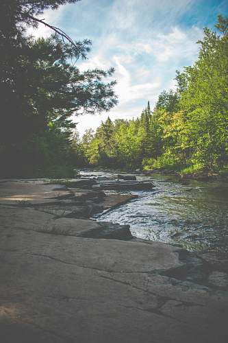 outdoors river and trees water