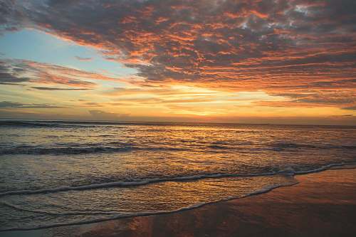 beach sea under sunset water
