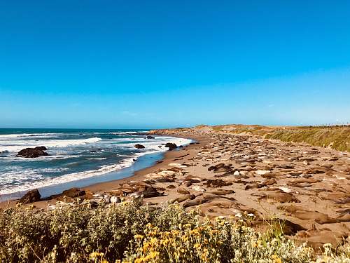 promontory seashore under clear blue sky ocean