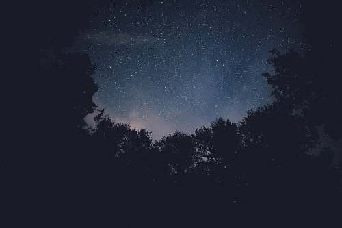 outdoors silhouette of trees under starry sky night