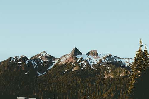 mountain photo of green forest near mountain range nature