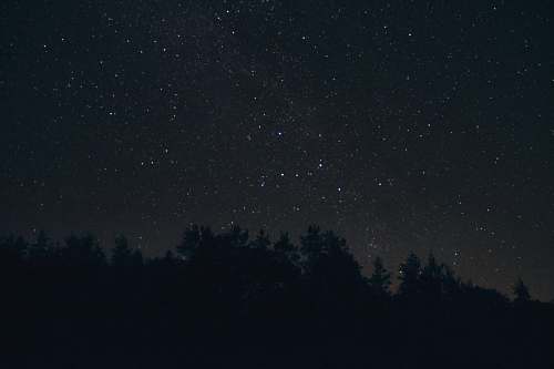 night silhouette of trees at night astronomy