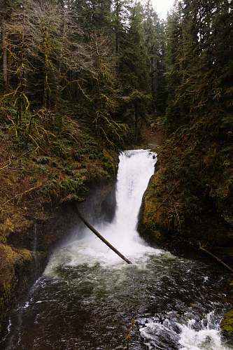 water waterfall during daytime nature