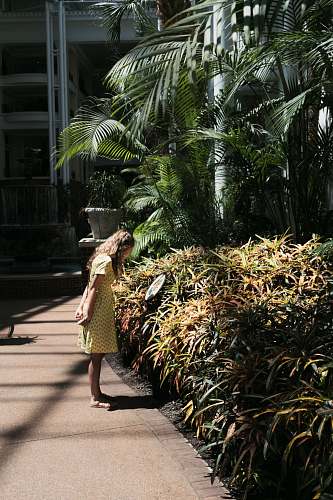 garden woman standing beside green plants near buildings arbour