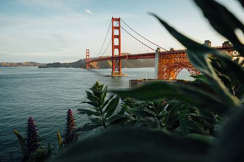human Golden Gate Bridge, California bridge