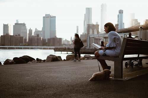 human woman sitting on bench reading book with dog during daytime bench