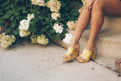 human woman sitting on brown stair beside yellow and white flowers plant