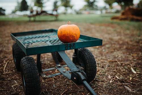 flora orange pumpkin on green metal trailer food