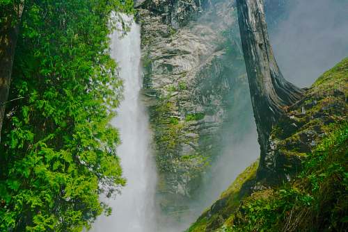 outdoors waterfalls surrounded by leafed plants waterfall