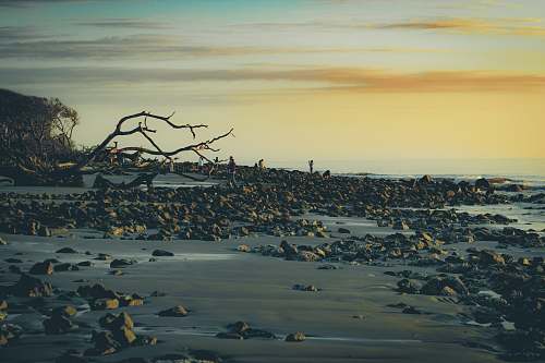 nature stones near body of water jekyll island