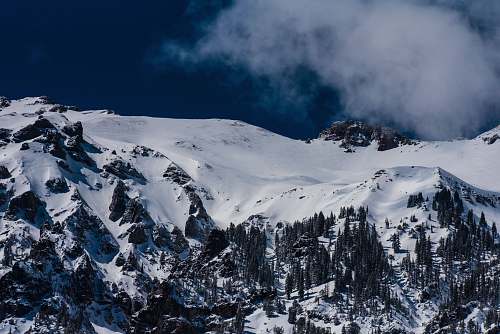 mountain bird's eye view of mountains and trees coated with snow nature