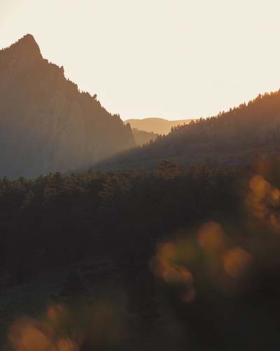 sunset tree covered mountain taken during daytime dawn