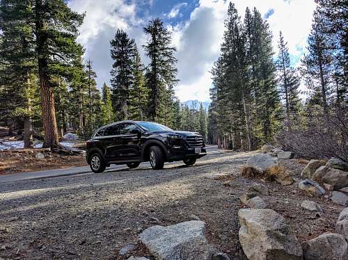 automobile black Hyundai Santa Fe parked on road with trees nearby car