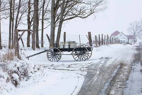 vehicle black metal carriage near brown bare trees wagon