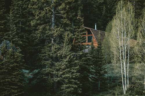 plant aerial photography of house near tres abies