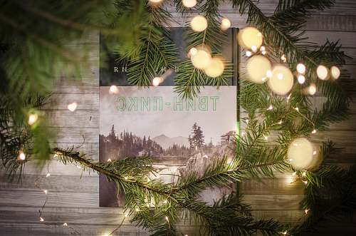 ornament photo on wall behind green trees snoqualmie falls