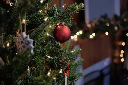 ornament shallow focus of bauble ball christmas