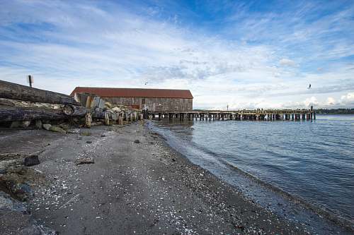 dock beach dock and seashore view pier