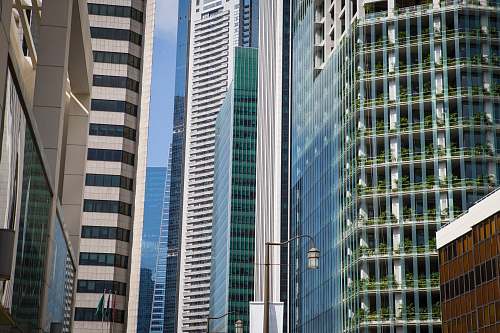 skyscraper assorted buildings city
