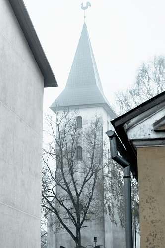 spire bare tree beside a gray concrete church building