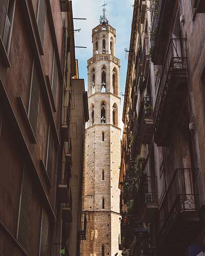 building beige concrete cathedral tower