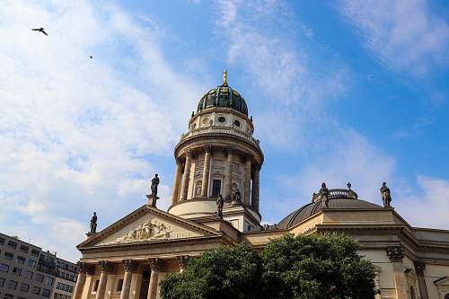 building bird flying over green and beige domed building dome