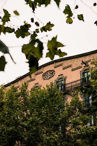 building brown bricked building by trees under white skies tower