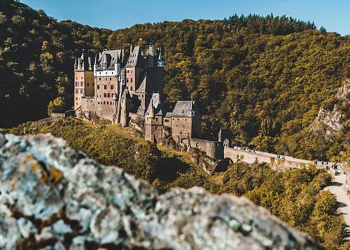 building caste facing tree castle